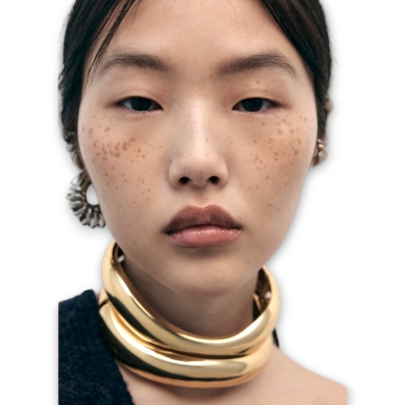 Zara Jewelry - ZARA Maxi Choker